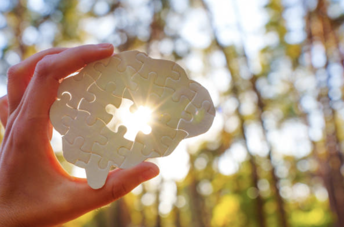 Before You Apply to Graduate Programs in Psychology
